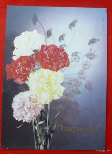 Поздравляю! Подписанная.  1989 года. Киндровой.  # 384.