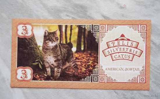 3 котуса 2016