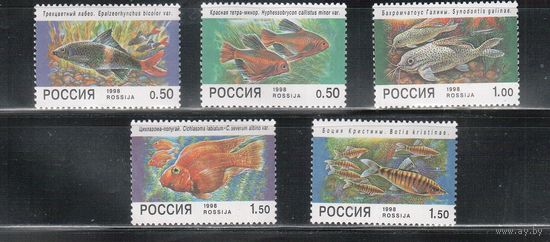Россия-1998, (Мих.646-650)  **, Фауна, Рыбы