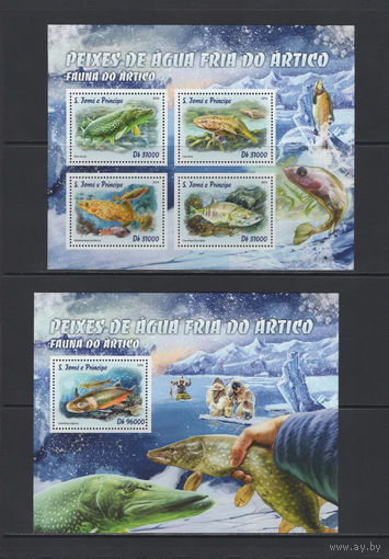 Фауна рыбы Сан-Томе и Принсипи 2016** Морская фауна Арктики