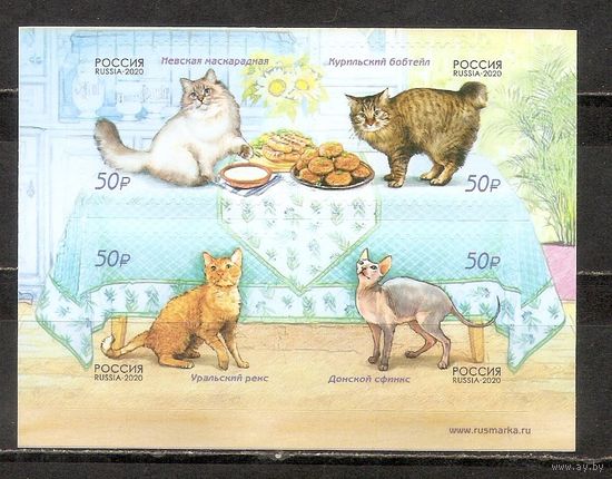 ФФ1 Россия 2020 Кошки самоклейка