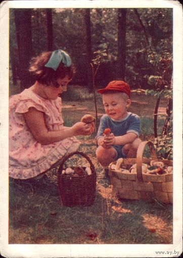 1957 год Грибники