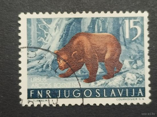Югославия 1954. Местная фауна