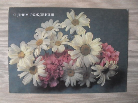 ПОДПИСАННАЯ ОТКРЫТКА. СССР.  С ДНЕМ РОЖДЕНИЯ. 1984 ГОД. ФОТО. Е. САВАЛОВА.