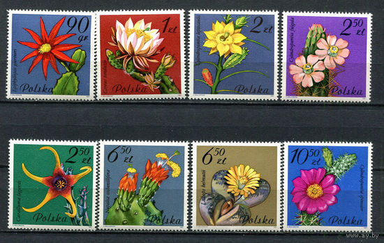 Польша - 1981 - Цветы. Кактусы. - [Mi. 2784-2791] - полная серия - 8 марок. MNH.  (Лот 51Ju)-T25P11