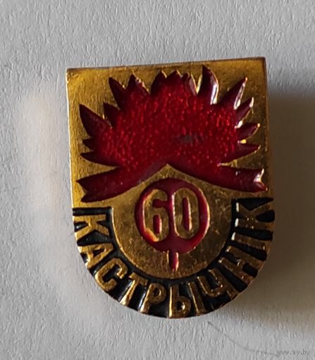 60 Кастычнiк