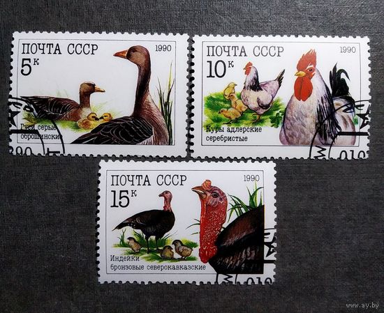 Марки СССР 1990 год Домашние птицы
