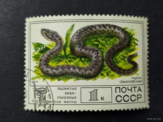 1977 СССР. Фауна. Гадюка обыкновенная