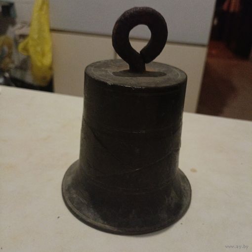 Колокольчик большой редкий