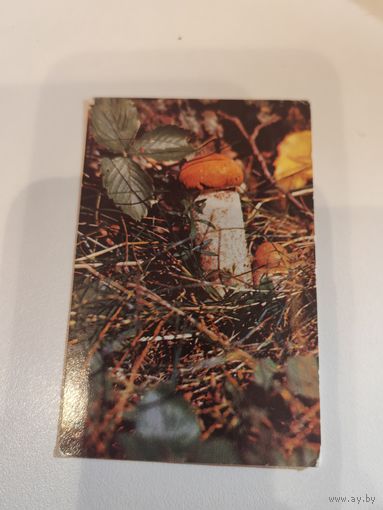 Календарик,сссп,1982