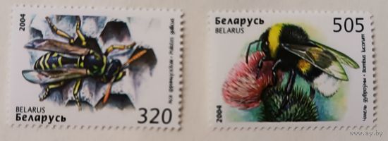 Пчелы. Беларусь, 2004