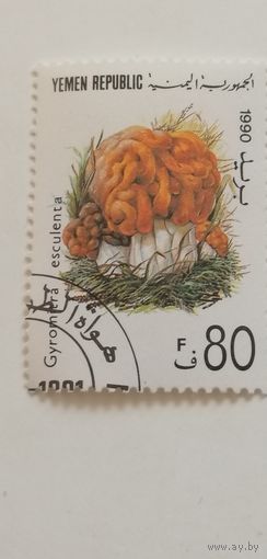 Йемен 1991. Грибы.