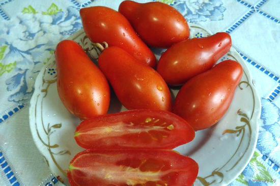 Семена томата Сибирский пируэт.