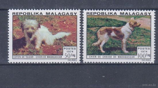 [2186] Мадагаскар 1974. Фауна.Собаки. СЕРИЯ MNH. Кат.6,5 е.