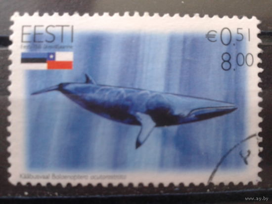 Эстония 2006 Кит Михель-1,2 евро гаш