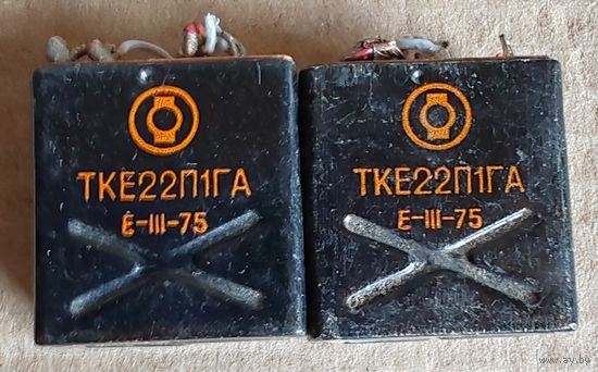Реле электромагнитное  ТКЕ 22 П1ГА 2(два) штуки