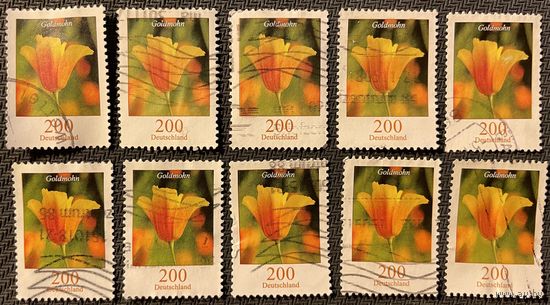 ЦІКАВІЦЬ АБМЕН! 2007, Эшшольцыя Каліфарнійская, 200