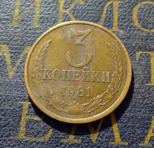 3 копейки 1981 СССР #34