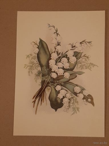 Открытка Цветок Ландыши Эстония Таллин Тип. Октообер 1970 г. Чистая