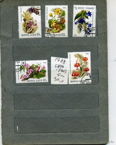 СССР, 1988,   ЦВЕТЫ  ,   серия 5м   1988  (на "СКАНЕ" справочно приведены номера и цены по ЗАГОРСКОМУ))