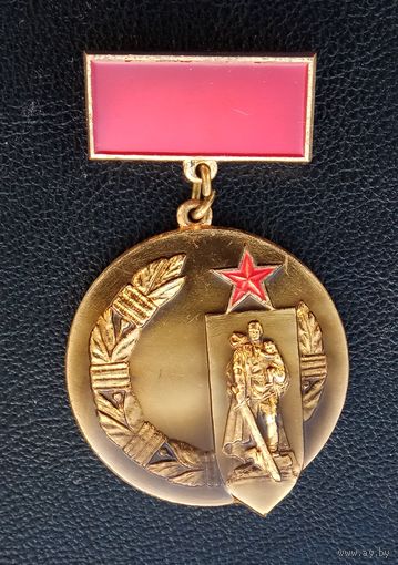 Почетный знак СКВВ