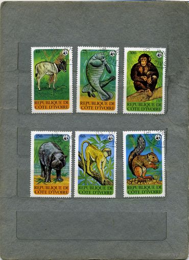 Кот-д ИВУАР ,  Фауна, серия 6м  гашеная