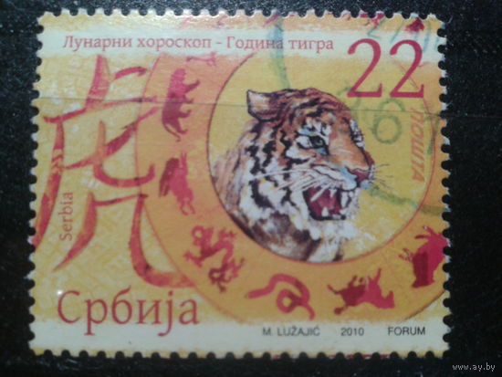 Сербия, 2010. Год Тигра