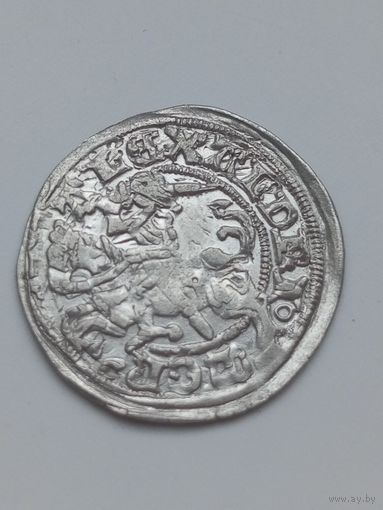 Полугрош Александра 1