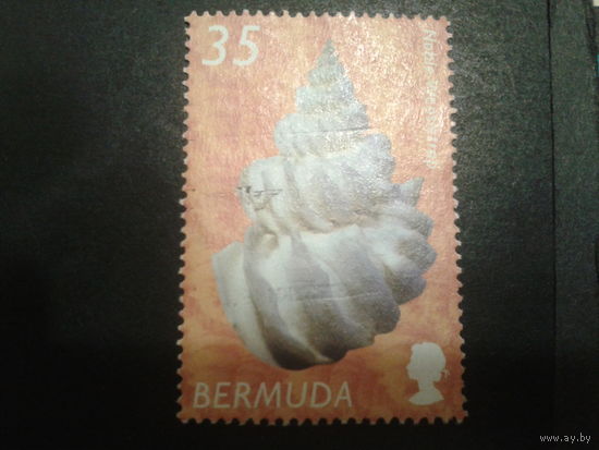 Бермуды, колония Англии 2002 ракушка