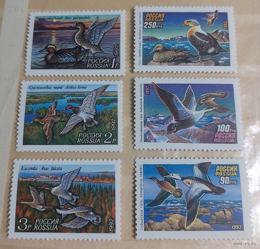 Россия 1992-93 Утки