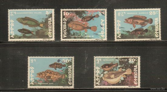 Эфиопия-1978(Мих.955-959) , ** ,  Морская фауна, Рыбы ,(полная серия)