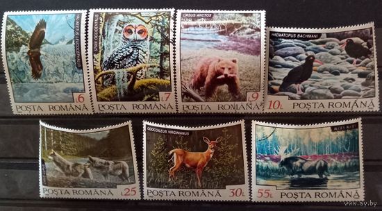 Животные Севера.