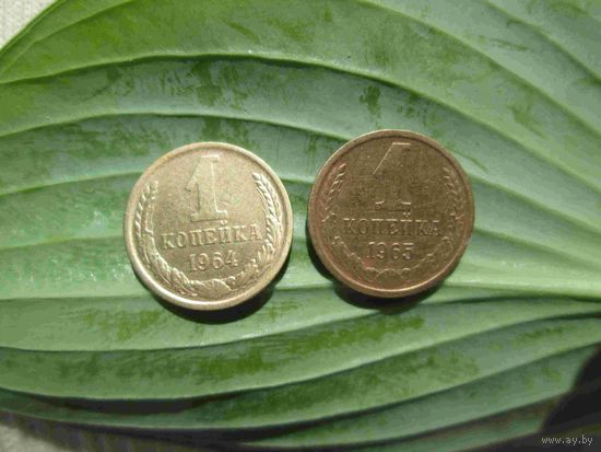 1 копейка 1964 и 1965 лет