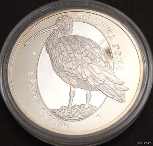 Большой кроншнеп. Серебро 10 рублей. Республика Беларусь. 2011г.