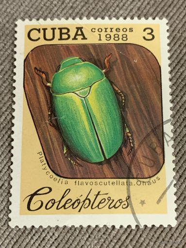 Куба 1988. Жуки. Platycoelia flavoscutellata. Марка из серии