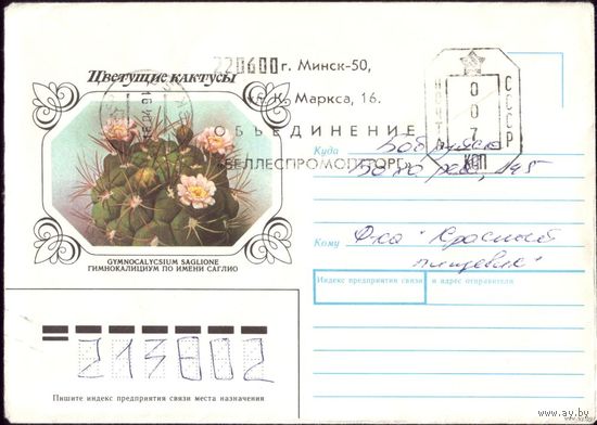 1990 год Гимнокалициум