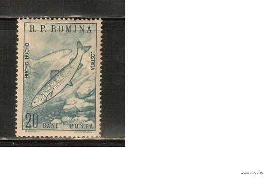 Румыния-1960(Мих.1833) , **  ,  Фауна,  Рыбы