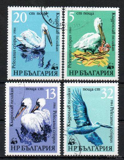 Пеликаны Болгария 1984 год серия из 4-х марок