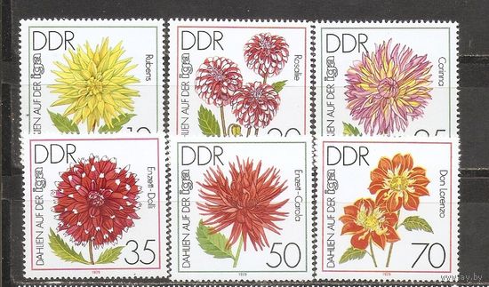 ФФ1 ГДР 1979 Цветы
