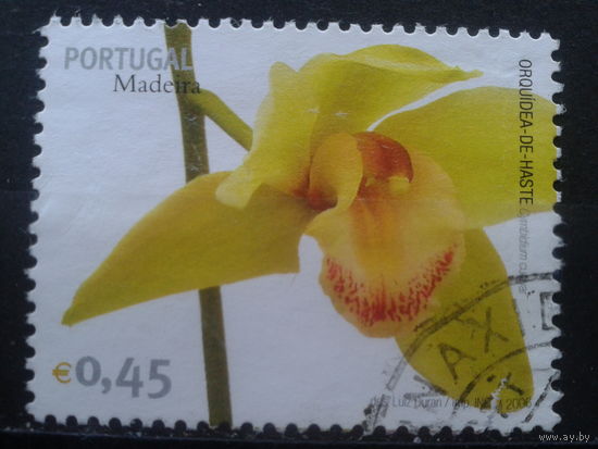 Мадейра, Португалия, 2006. Цветок, марка из блока