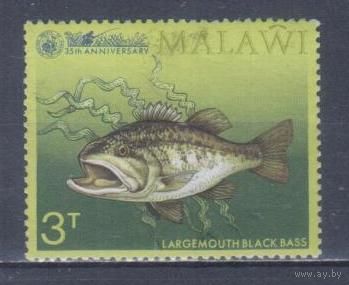[1874] Малави 1974. Фауна.Рыбы. Гашеная марка.