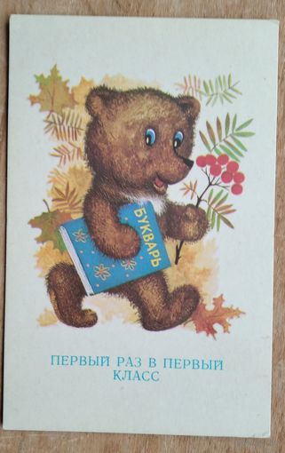 Шанецкий О. В первый класс. 1976 г. Чистая.