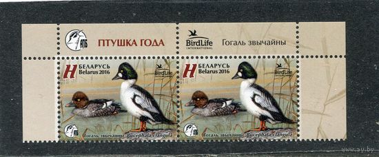 Беларусь 2016. Птица года. Гоголь обыкновенный. Верхняя сцепка листа