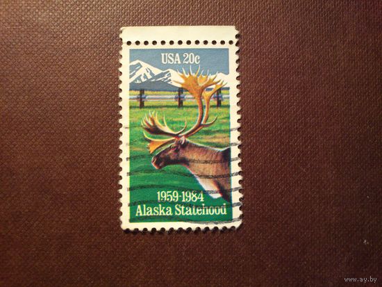 США 1984.Карибу и трубопровод./37а/