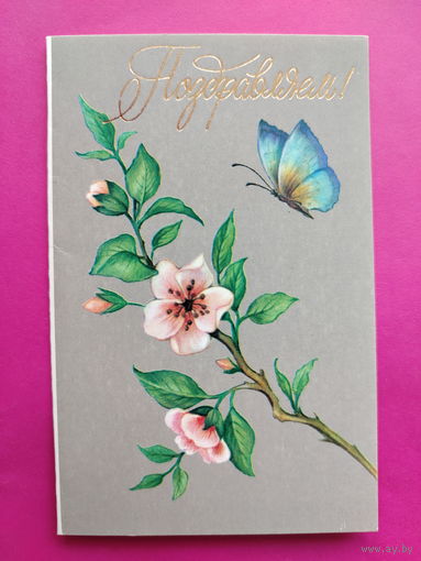 Поздравляем! Чистая. Двойная. 1989 года. Коробова. 2344.