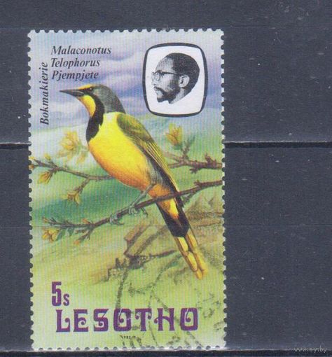 [519] Лесото 1982. Фауна.Птицы. Гашеная марка.
