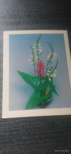 Открытка цветы. 1982. Артёмова. Чистая.