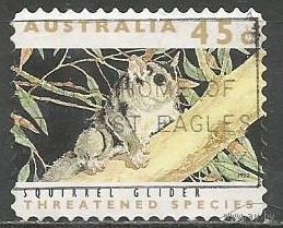 Австралия. Летучая белка. 1992г. Mi#1284.