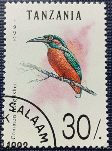 Марка Танзания 1992 Зимородок