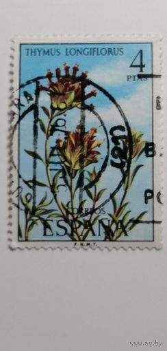 Испания 1974. Флора